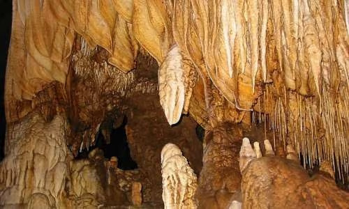 Tuba Mangrove Boat Tour in Langkawi